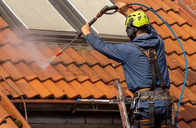 Démoussage et hydrofuge de toiture à Évian-les-Bains